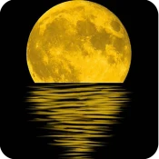 Phrase of the day : proverbs Premium Mod