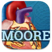 USMLE Clinical Anatomy Premium Mod