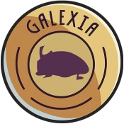 GALEXIA Reading Fluency Game Cheats