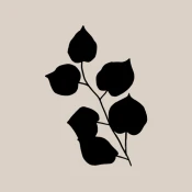 Presently: A Gratitude Journal Premium Mod