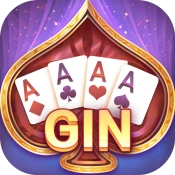 Gin Rummy - Lami mahjong Texas Game Cheats