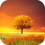 Awesome-Land Pro Livewallpaper No Ads Premium