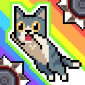 Cat Jump Cheat Codes