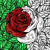 Color by Number: Coloring Book Cheat Codes