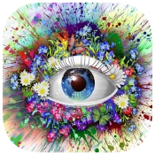 132 Photo Crosswords Game Cheats