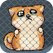 Shiba Inu – Virtual Pet Cheat Codes