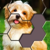 Hexa Jigsaw Puzzle  Cheat Codes