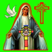 Catholic Doctrine And Bible Re No Ads Premium