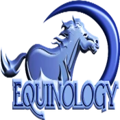 Equine Anatomy Learning Aid (E Premium Mod