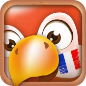 Learn French | Translator No Ads Premium