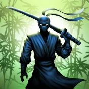 Ninja warrior: legend of adven Cheat Codes