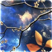 Heavenly Skies No Ads Premium